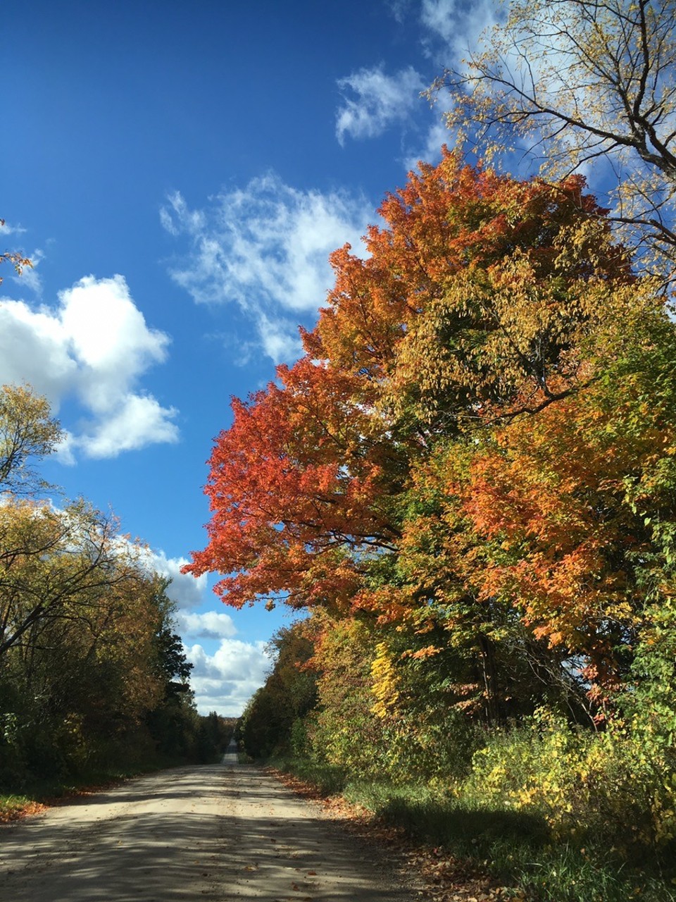 Canada - South Bruce Peninsula - Indian Summer in Kanada