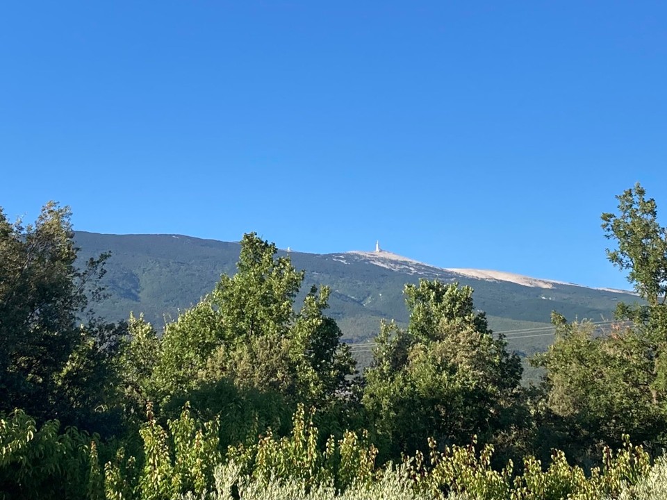 Frankreich - Bédoin - Der Mont Ventoux aus der Ferne