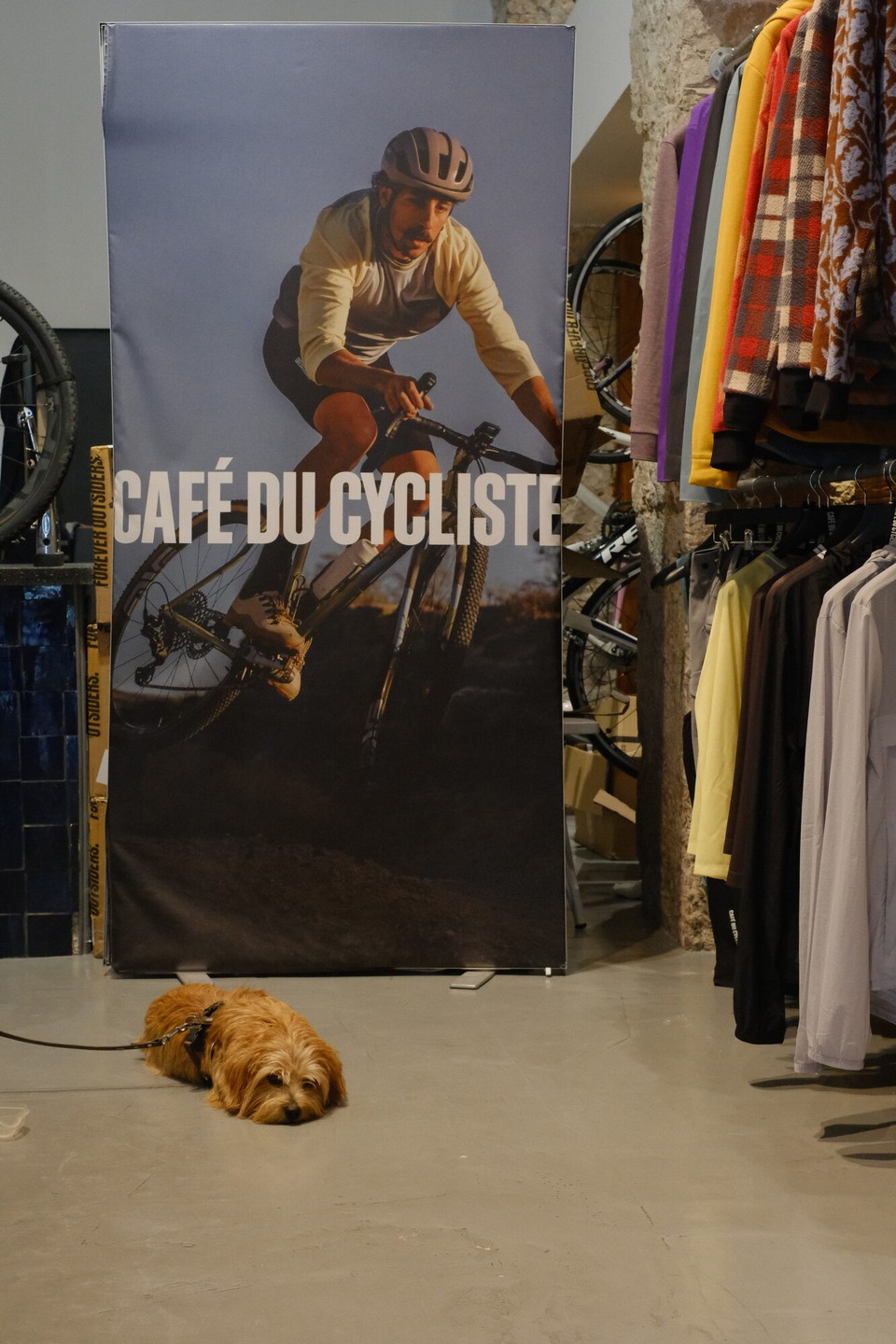 Frankreich - Nizza - 