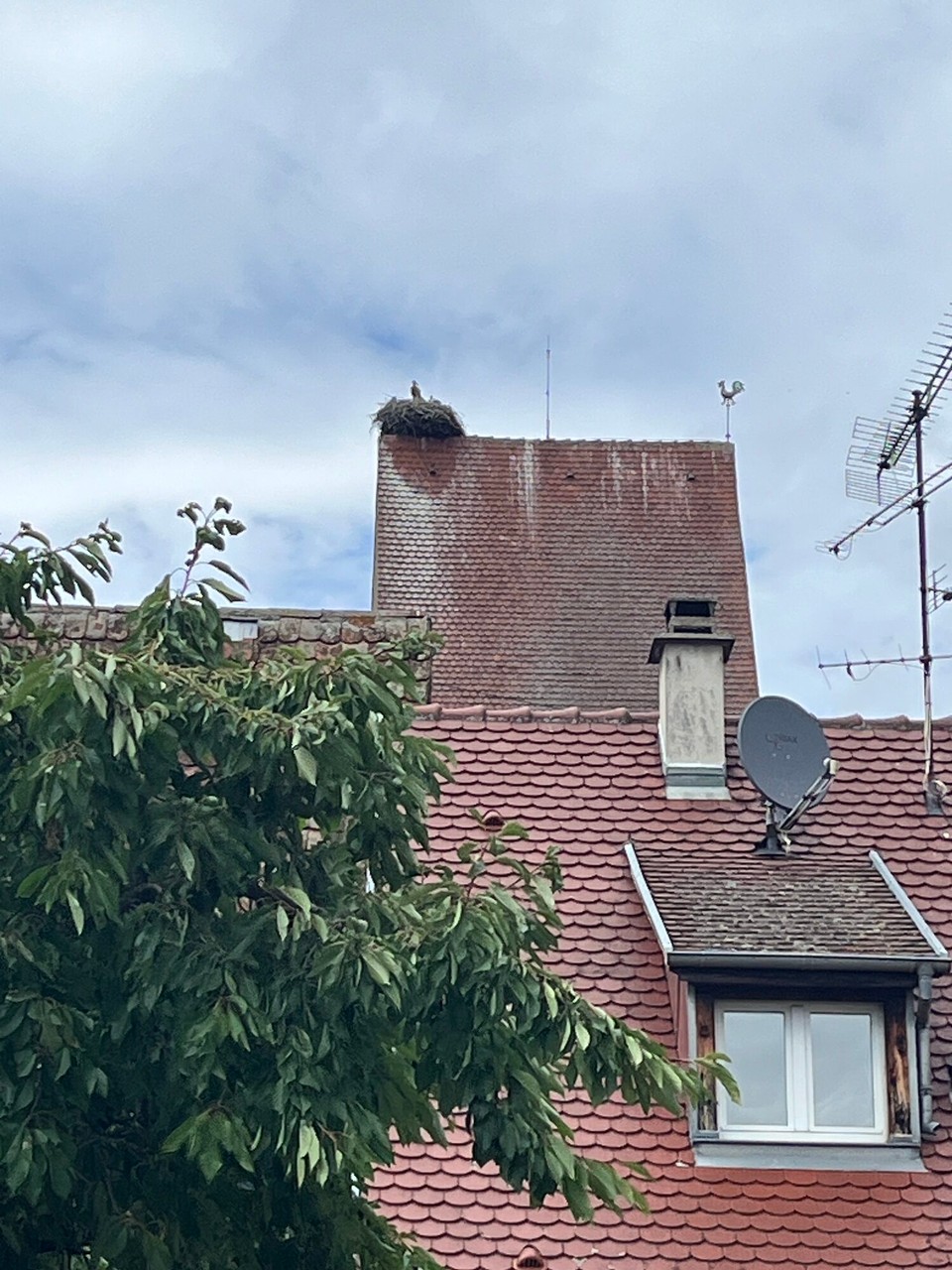 Frankreich - Eguisheim - 