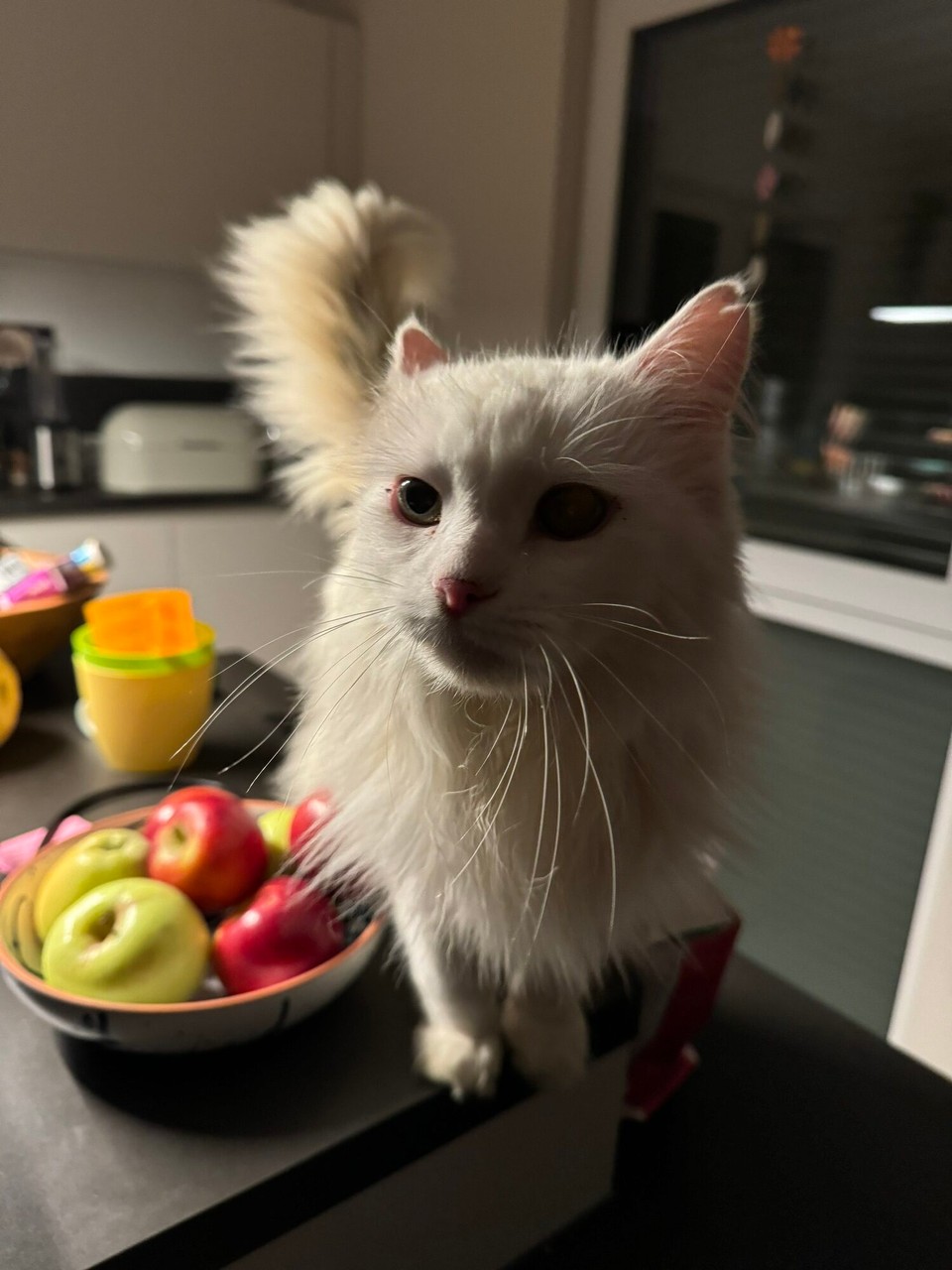 Deutschland - Reichshof - Und Nobbsen auch