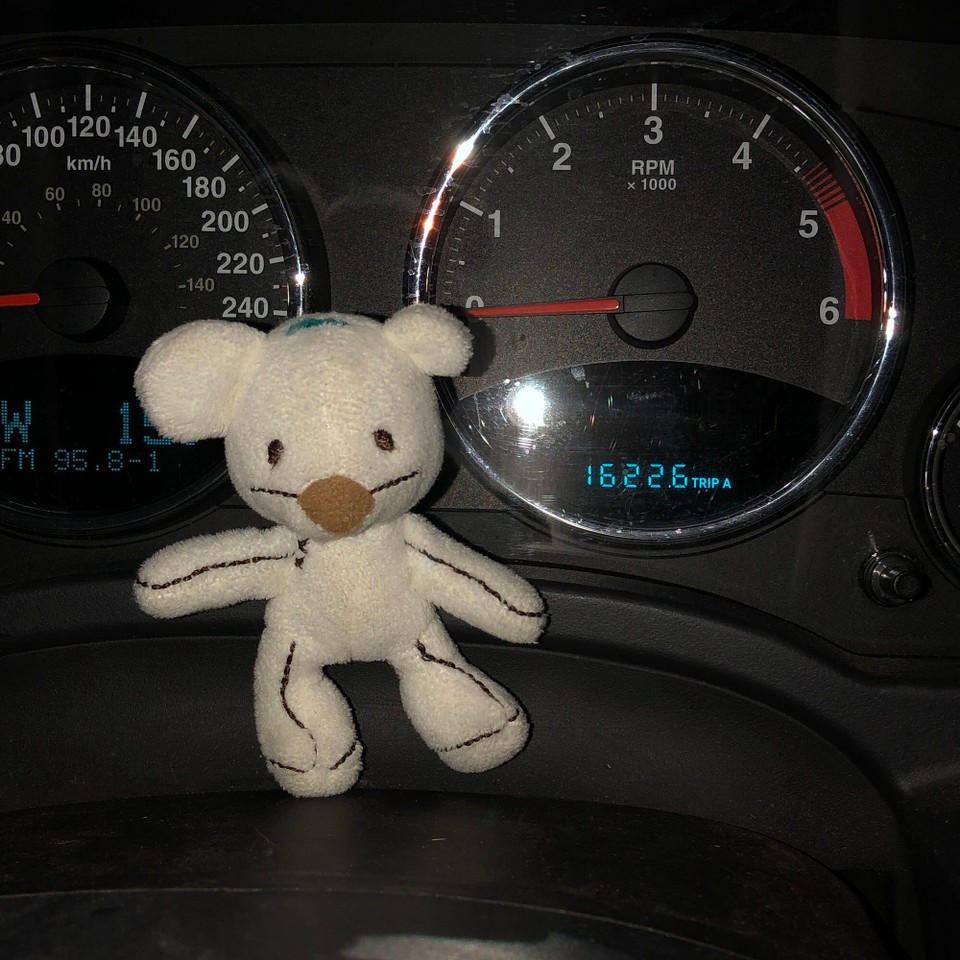 Deutschland - Potsdam - Carlos ist wieder zu Hause! 