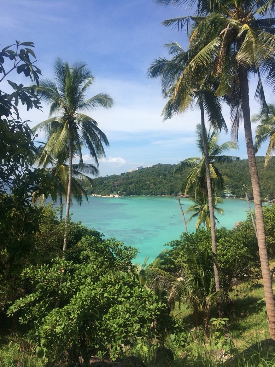 Thailand - Ko Tao - 