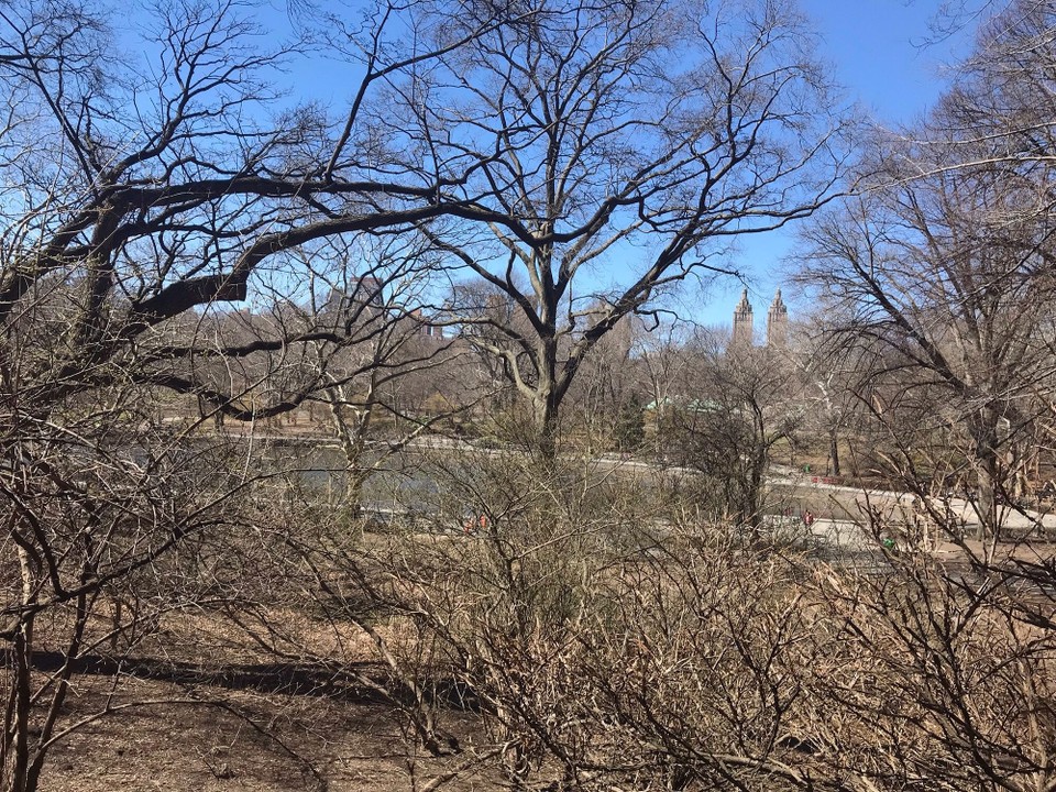 United States - New York - 