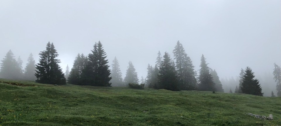 Schweiz - Le Pont - Fast wie im Herbst