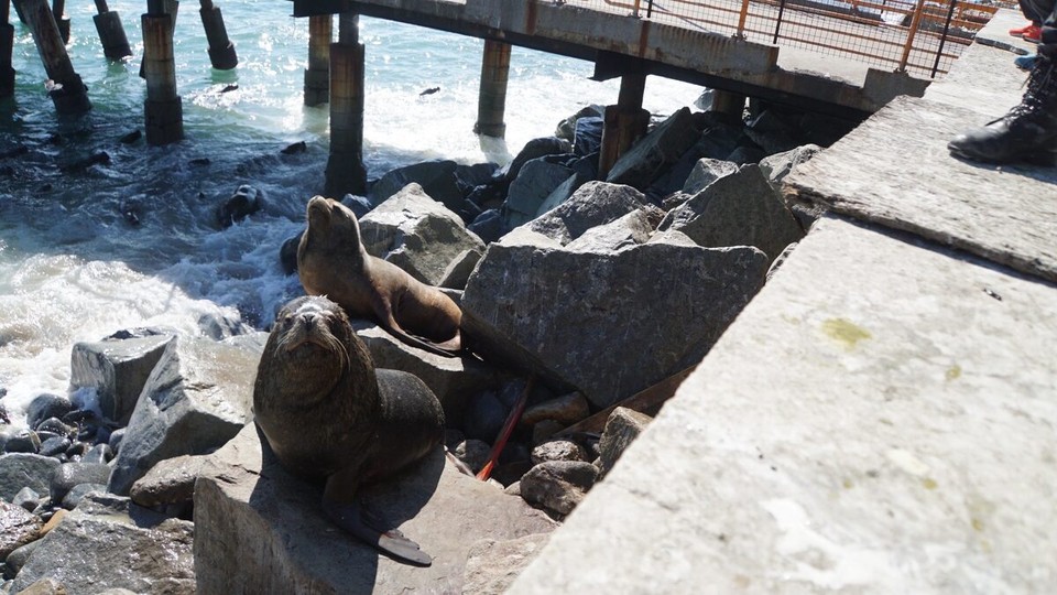 Chile - Santiago de Chile - 