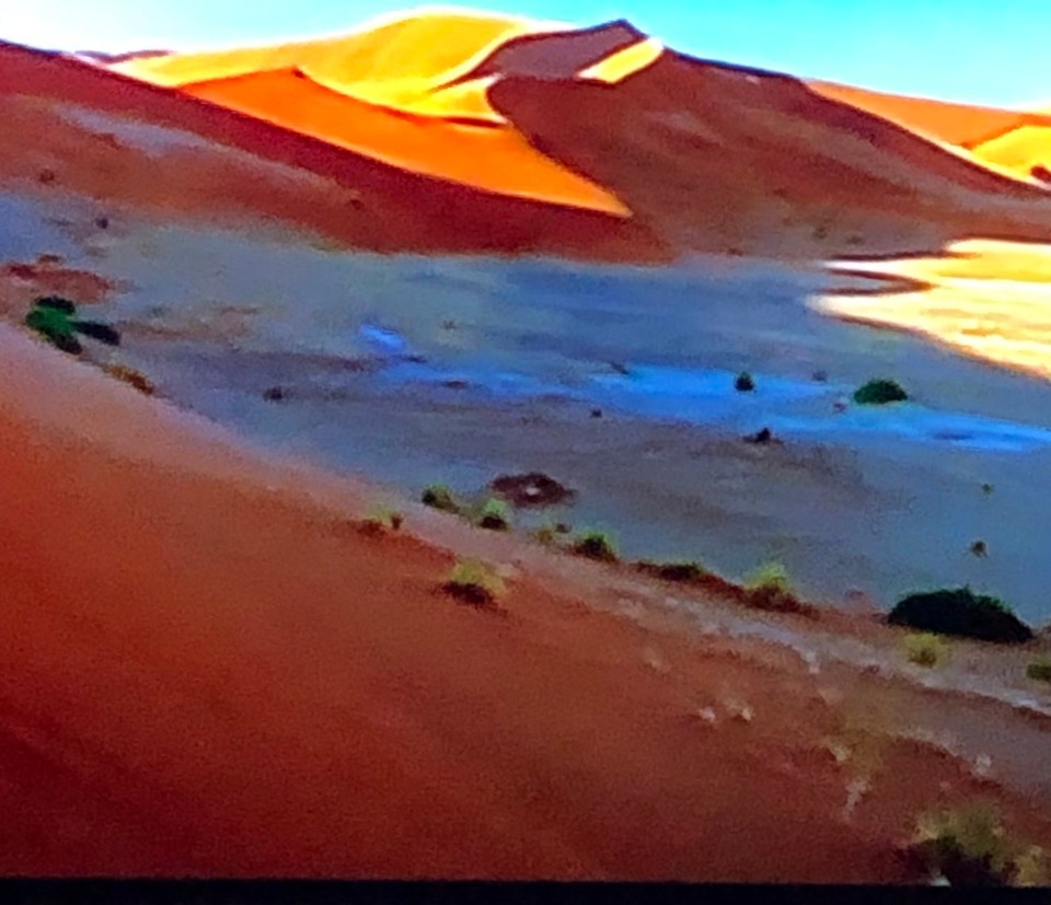 unbekannt - Namib - Namibia
Namib Wüste