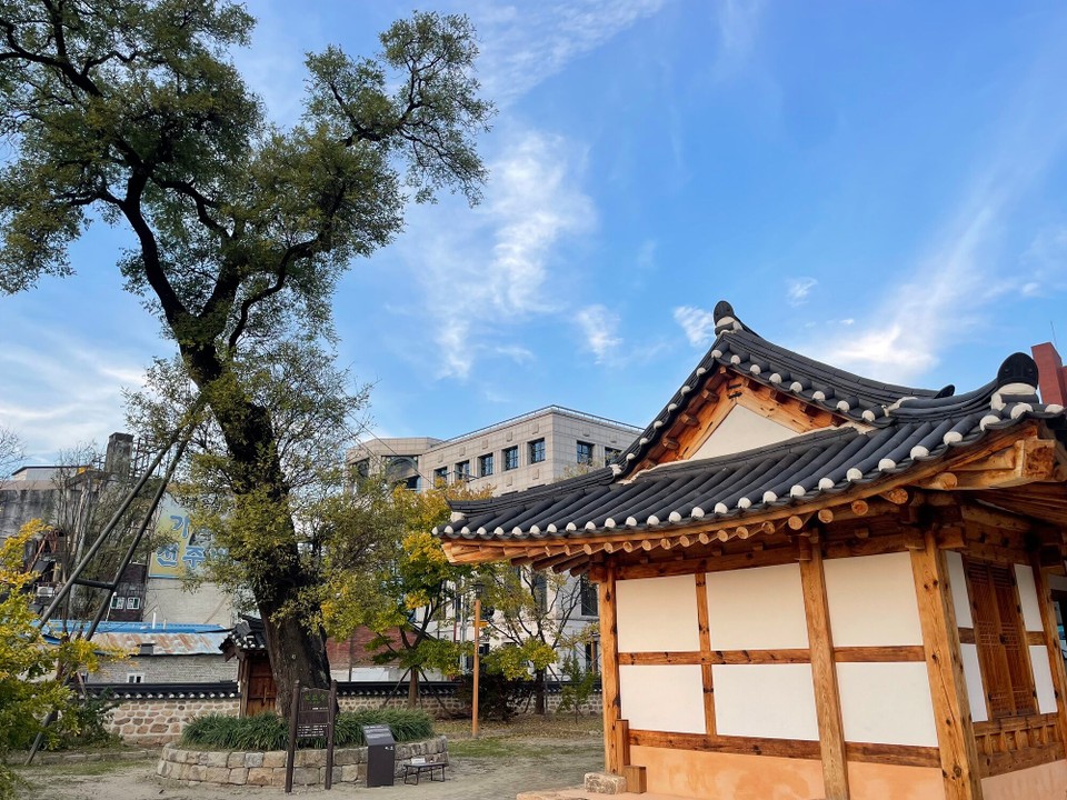 대한민국 - 전주시 - Jeollagamyeong Pagoda Baum (de Baum von de Glehrte, will all sini Äst frei und ohni Limit abstönd)