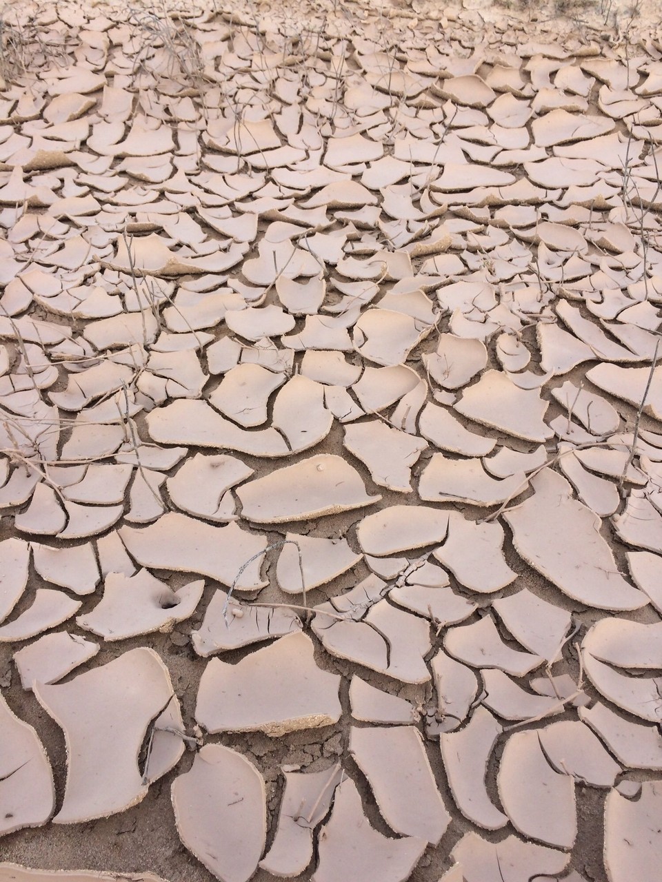 Oman -  - 