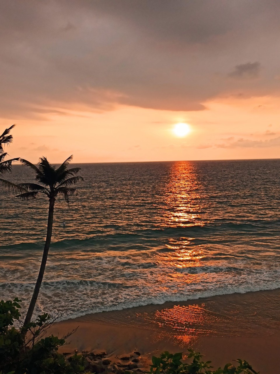 Indien - Varkala - 