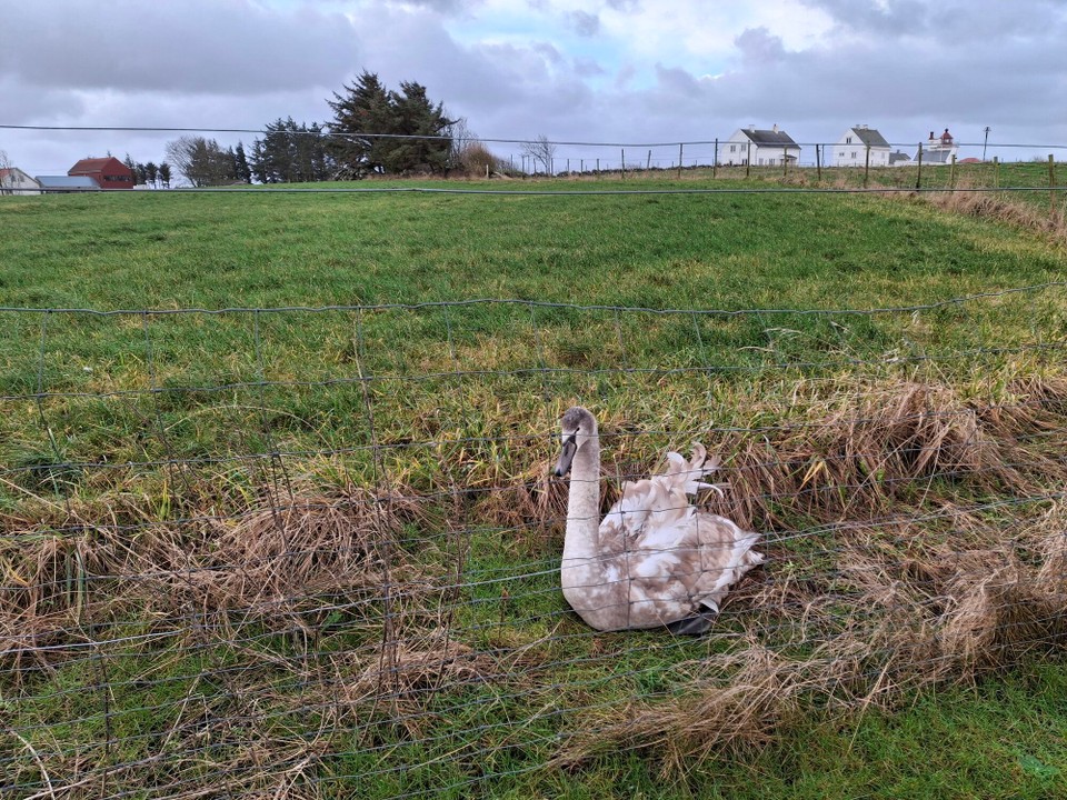 Norwegen - Randaberg - 