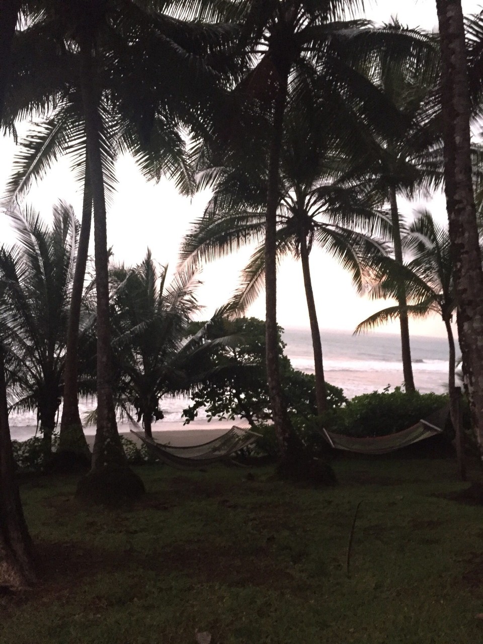 Costa Rica - Osa - 