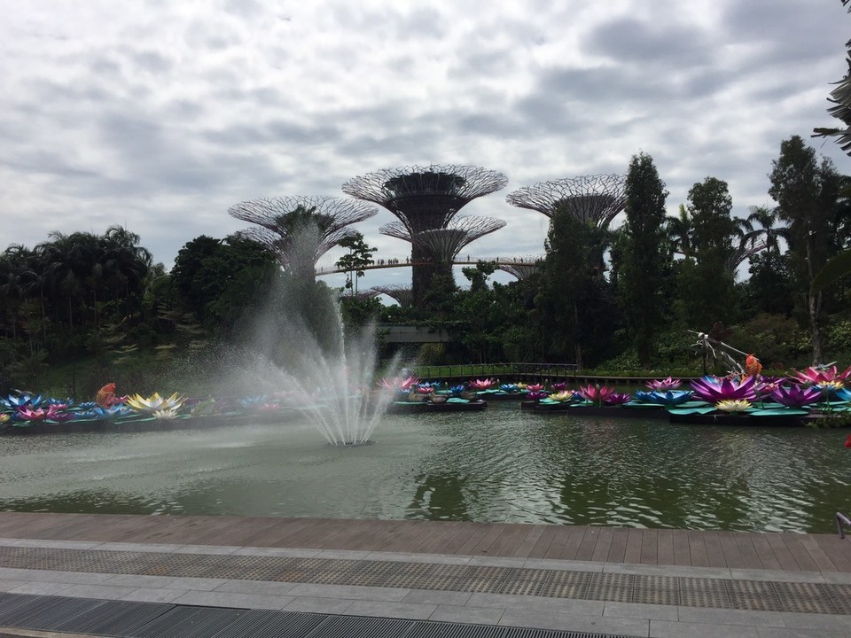Singapur - Singapur - The Supertrees