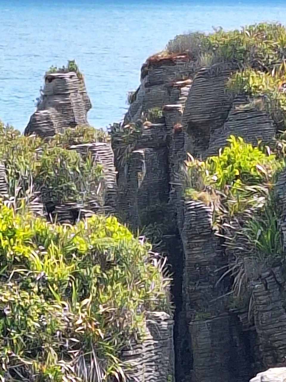 Neuseeland - Pancake Rocks - 