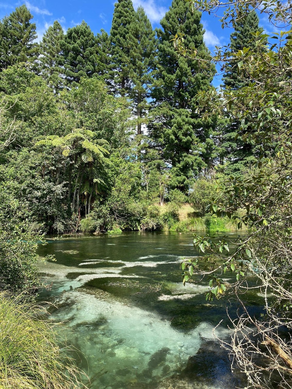 Neuseeland - Hamurana - 