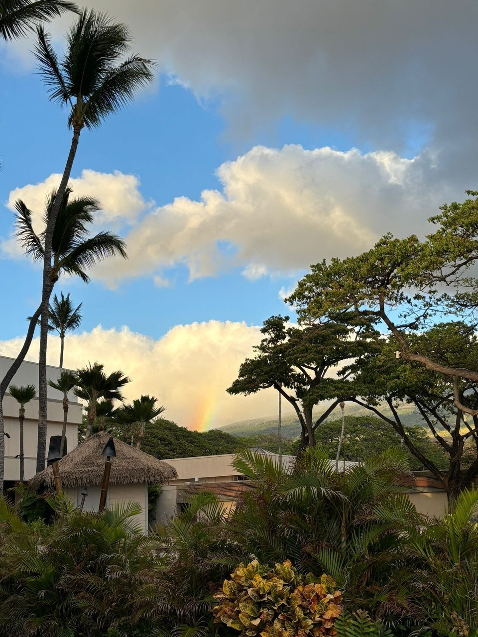 Vereinigte Staaten - Kaanapali - 