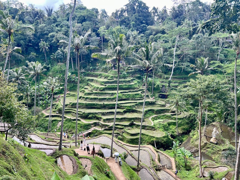 Indonesien - Gianyar - 