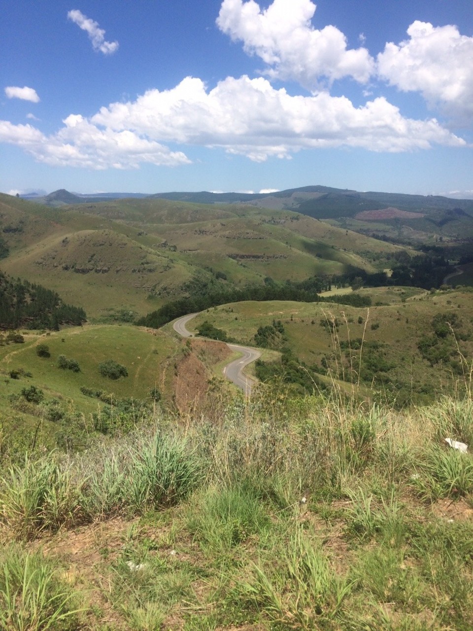 Südafrika - Graskop - 