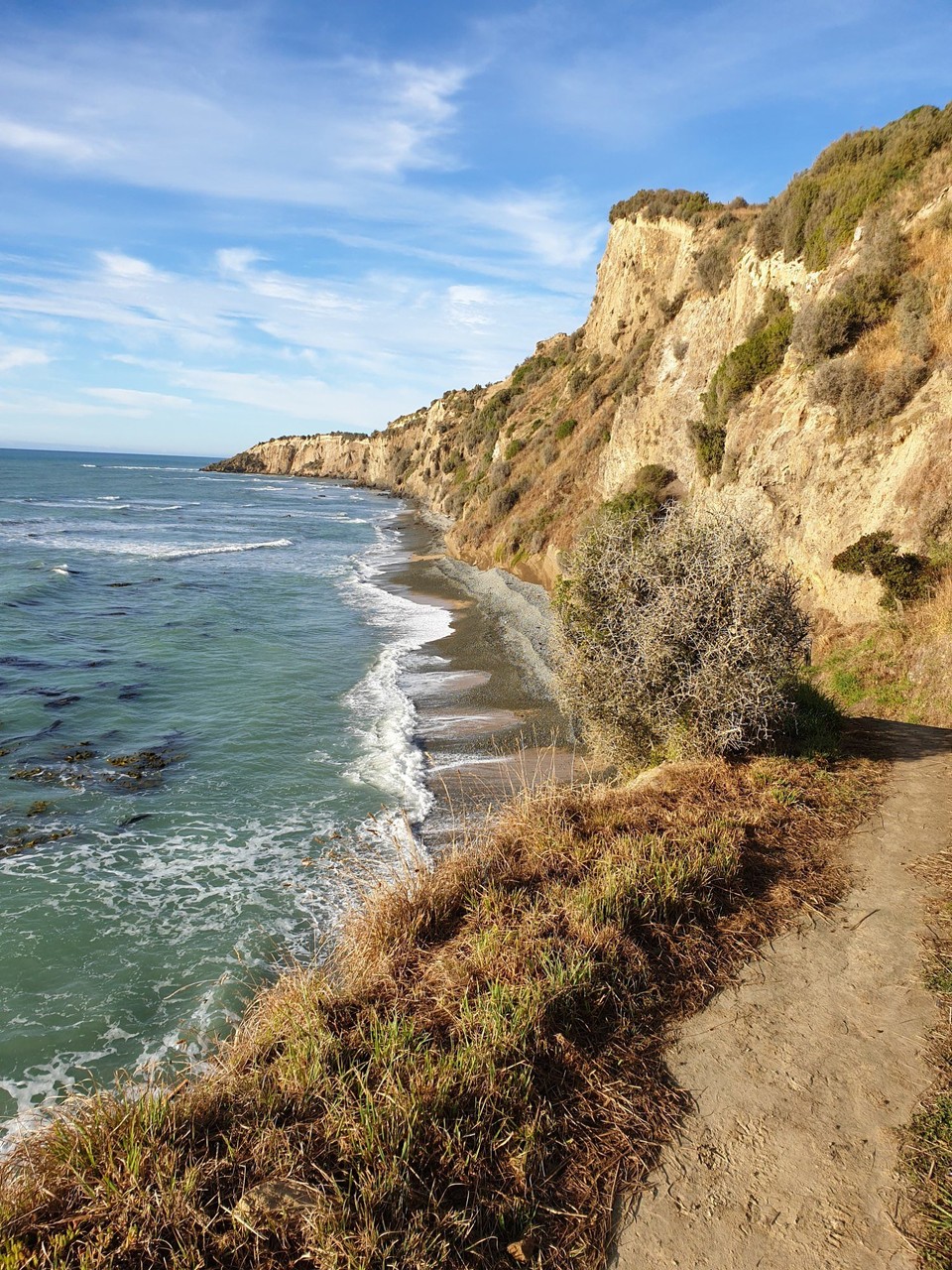 Neuseeland - Oamaru - 