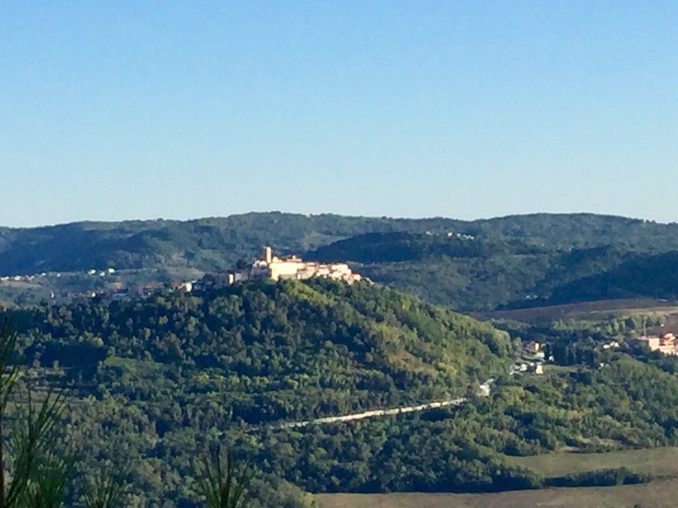 Kroatien - Motovun - 