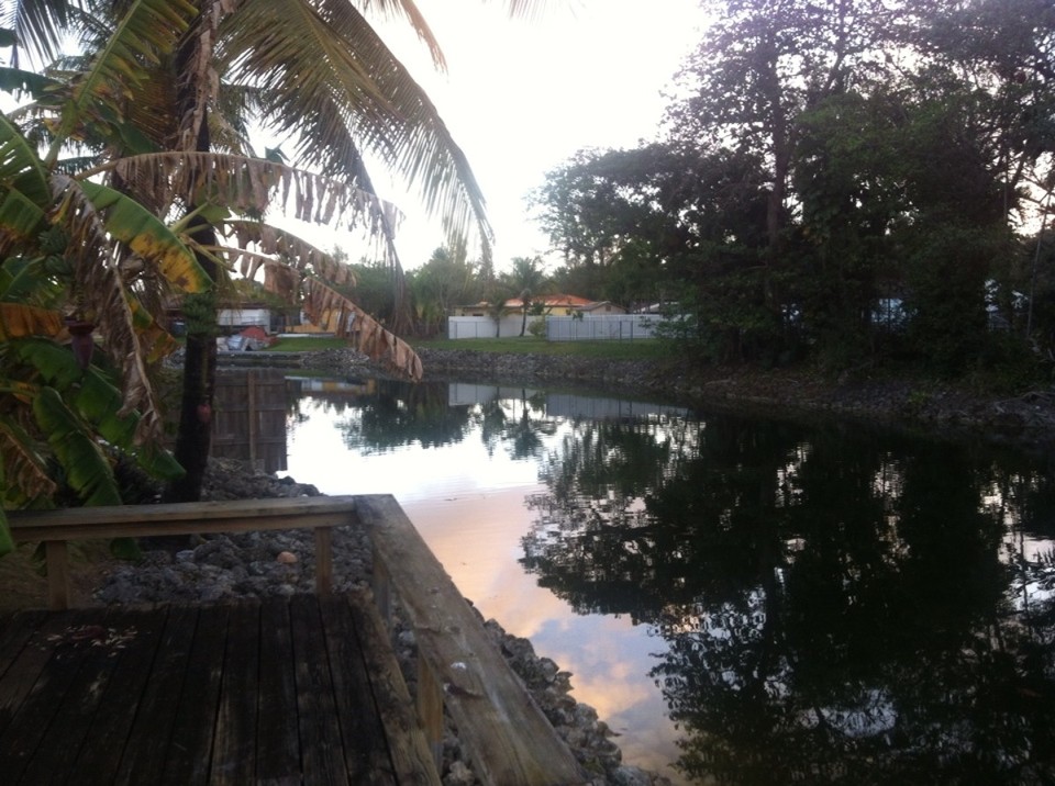 Egyesült Államok - Coral Terrace - 