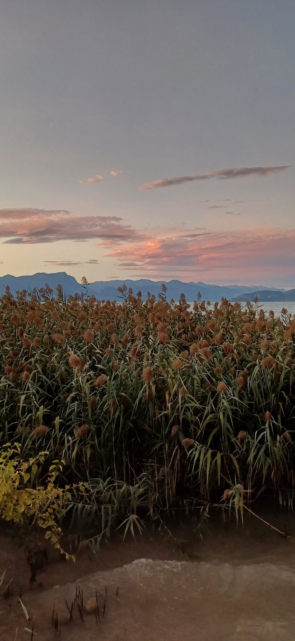 Italien - Peschiera del Garda - 