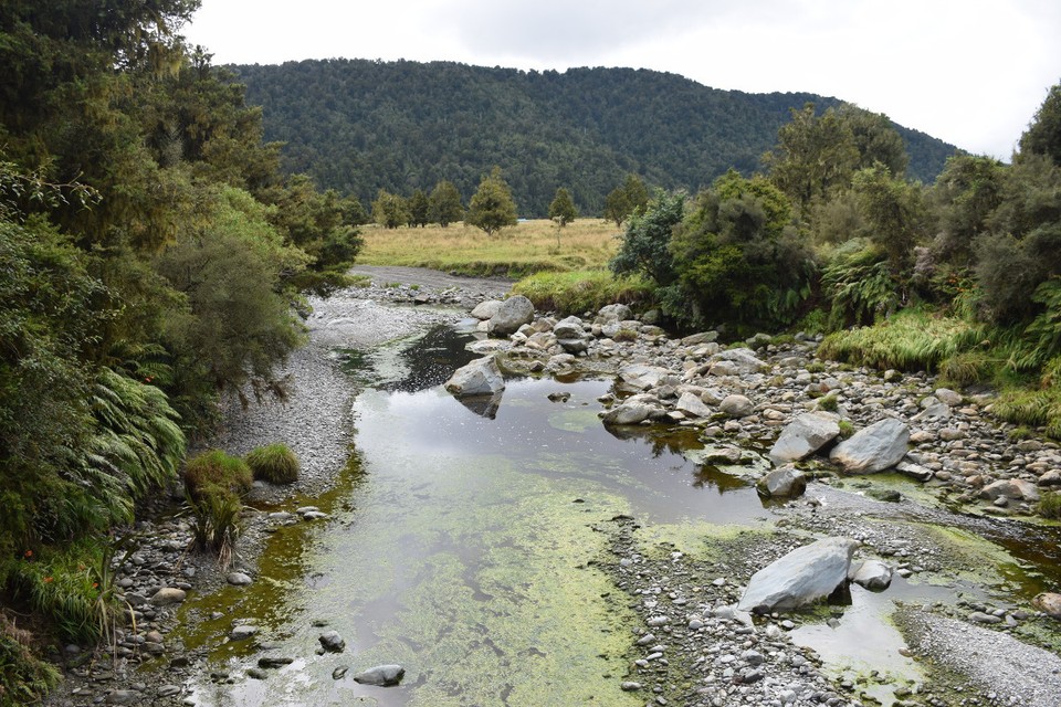 Neuseeland - Lake Matheson - 
