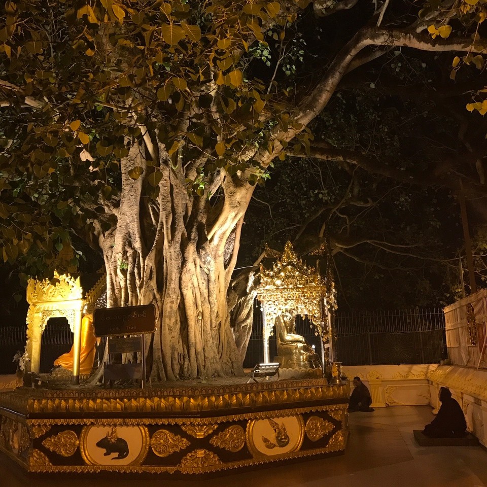 Myanmar - Yangon - 