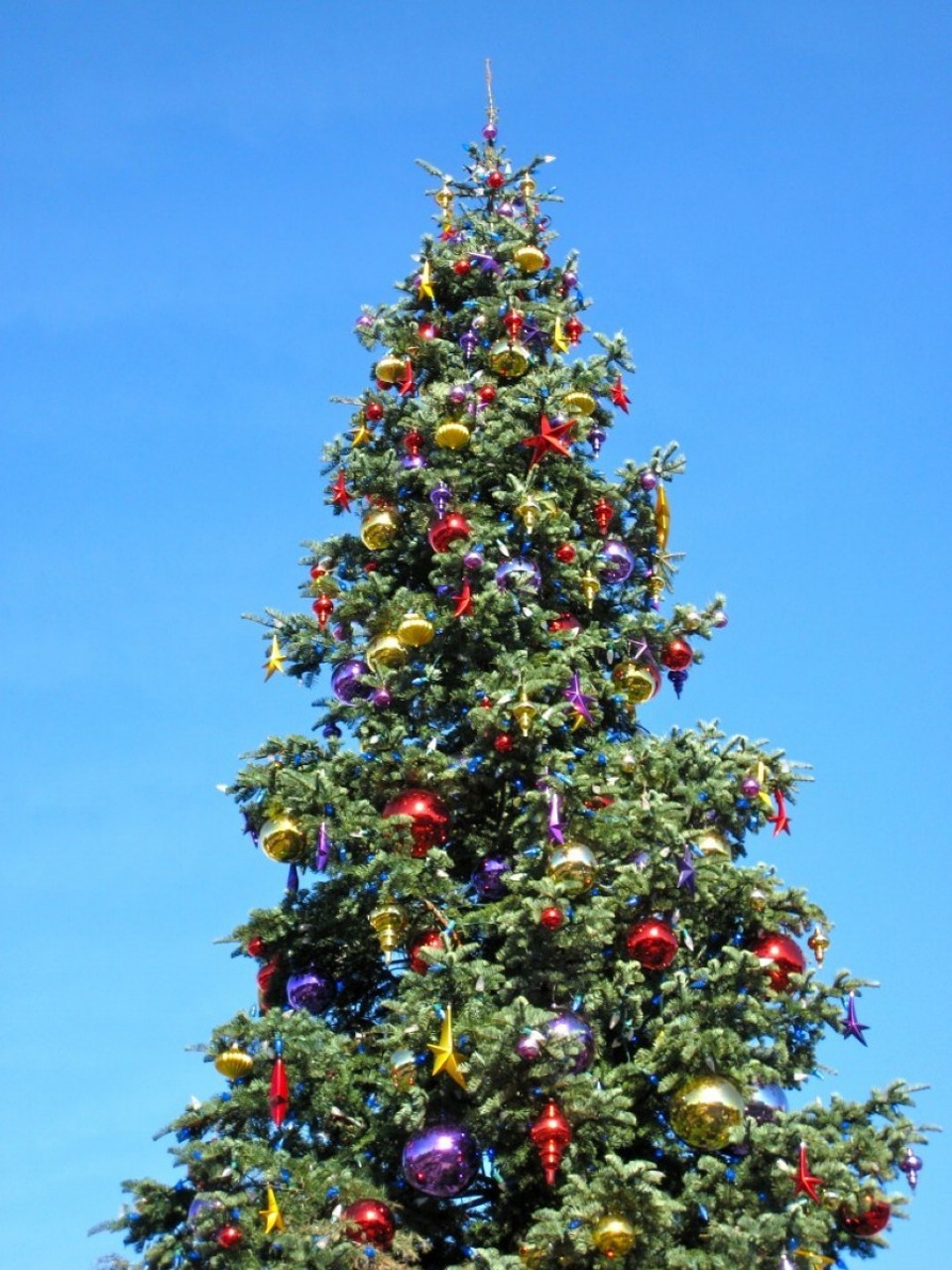 United States - San Francisco - 