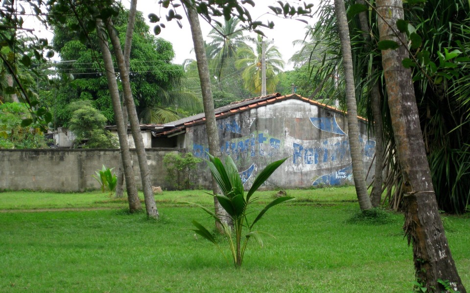 Sri Lanka - Unawatuna - 