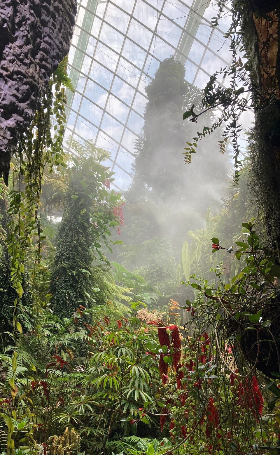 Singapur - Singapur - 