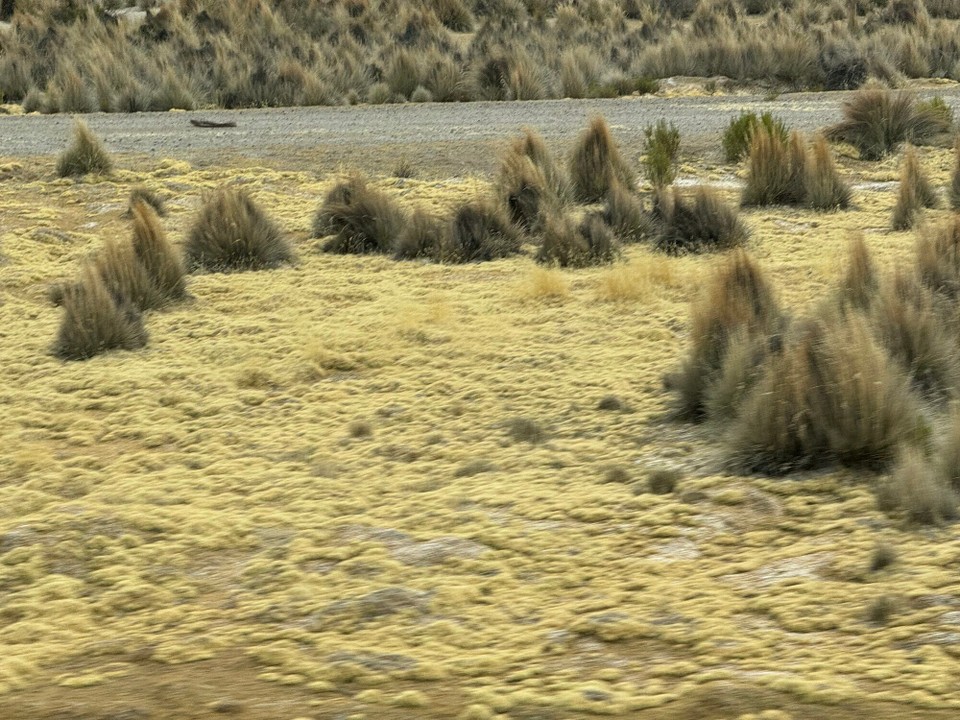 Bolivien - Salar de Uyuni - Zippfelmützen