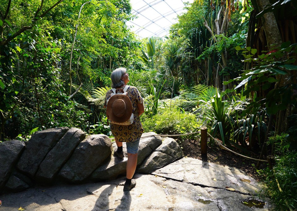 Madagaskar - unbekannt - 