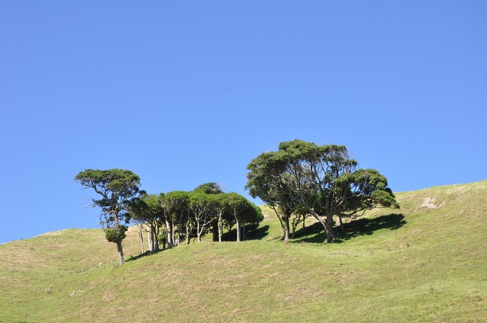 Neuseeland - New Plymouth - 