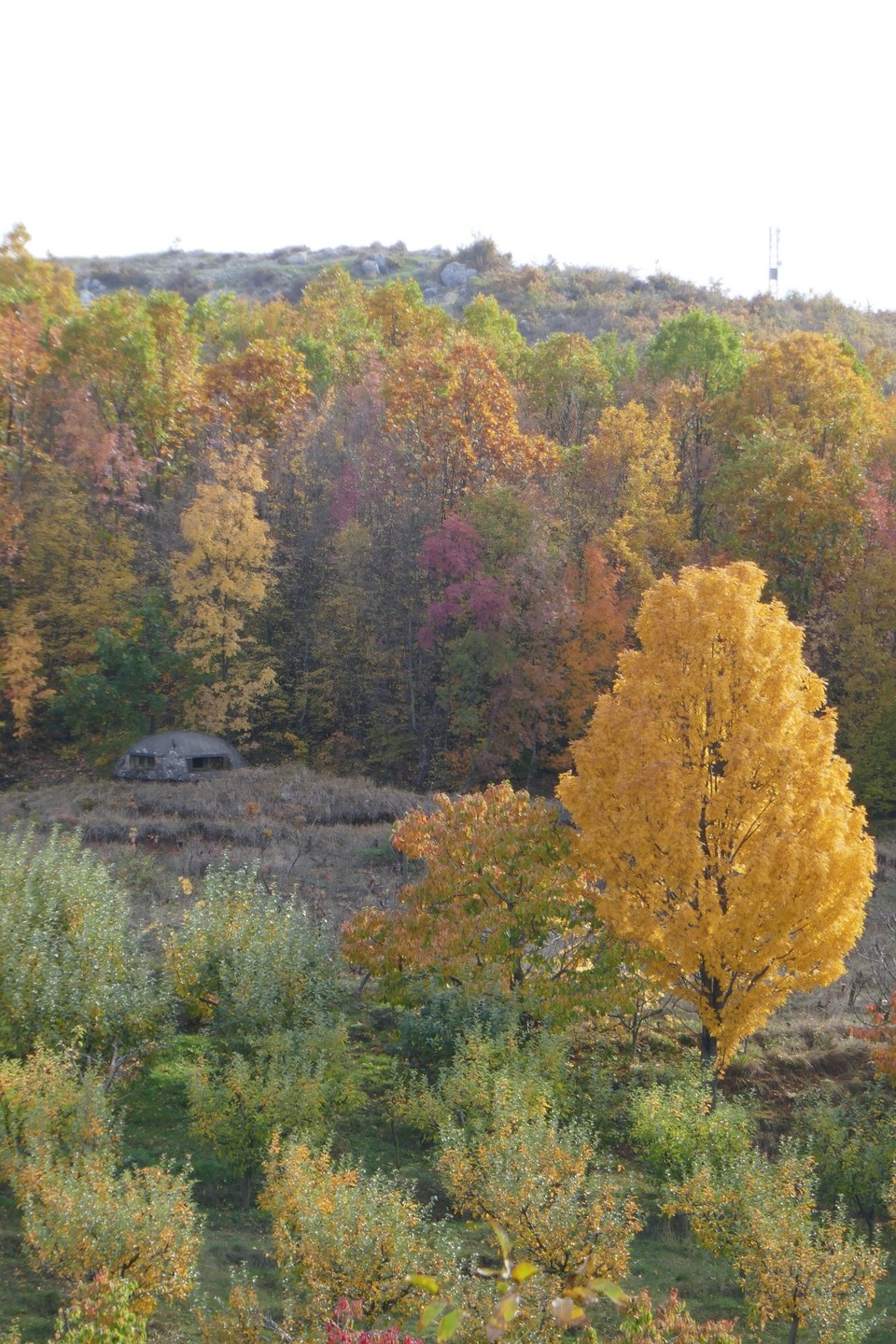 Albanien - Pogradec - 