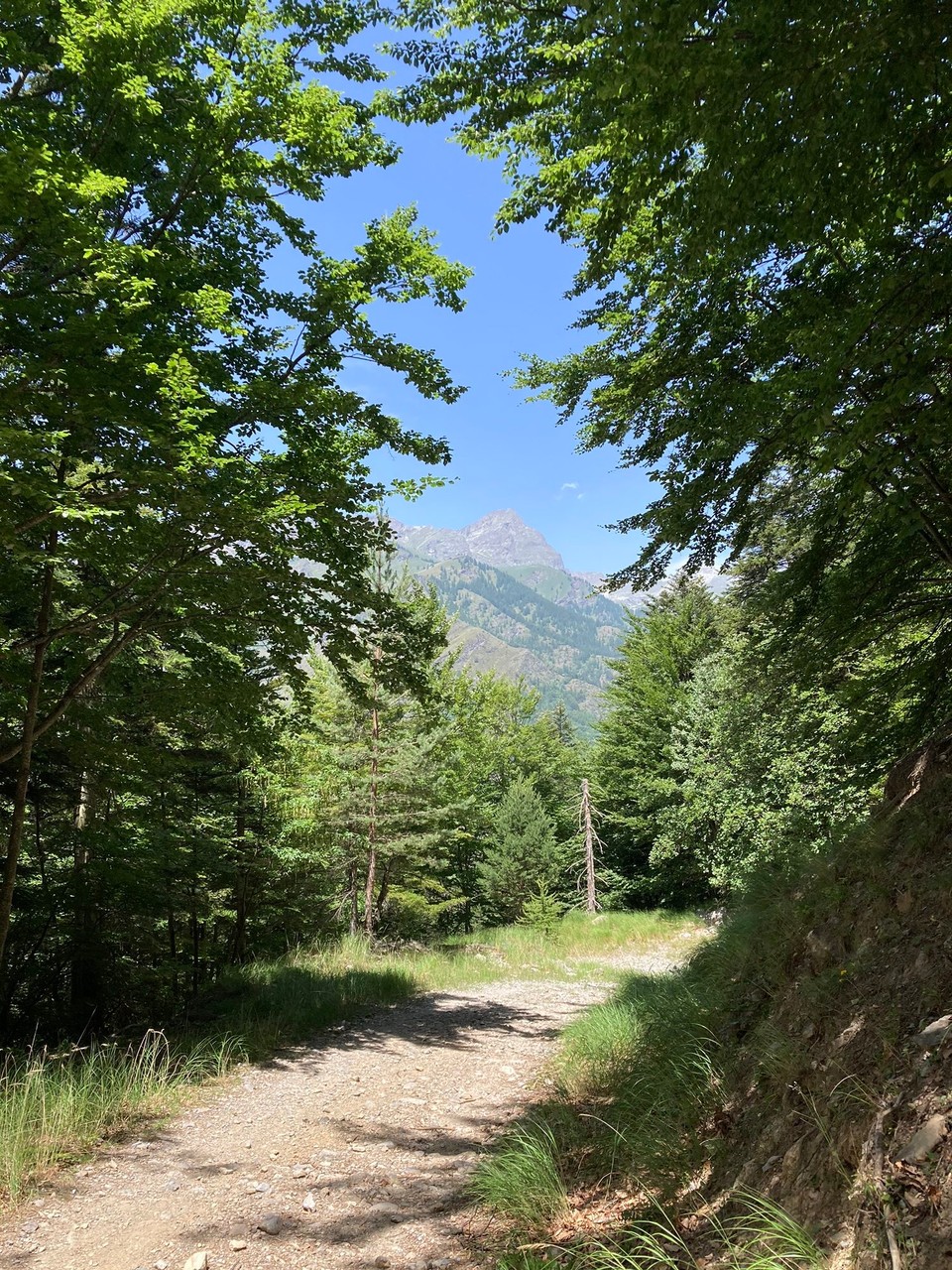 Italien - Marmora - Aufstieg zum Pass S. Giovanni 