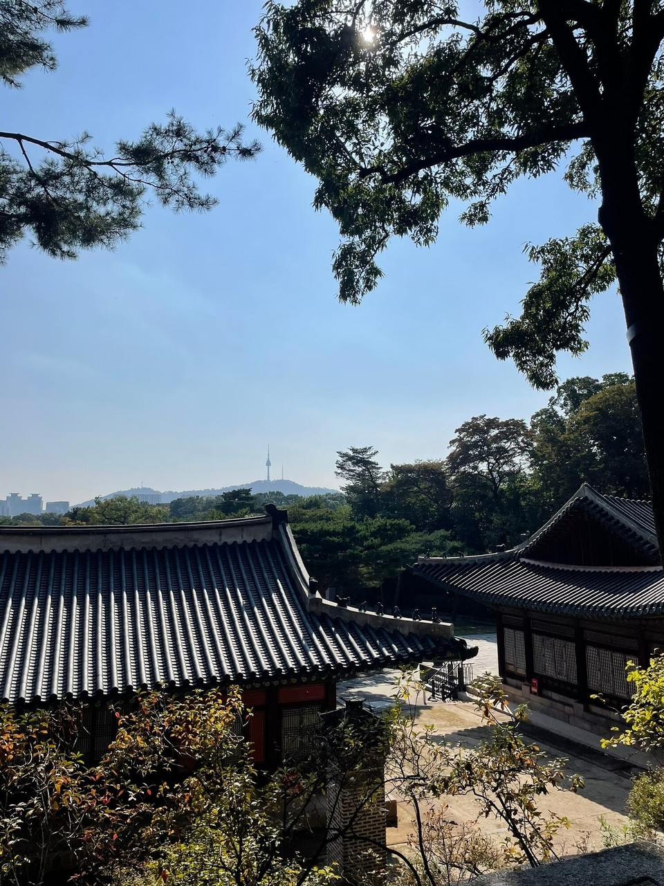 대한민국 - 서울특별시 - Changgeonggung Palast
