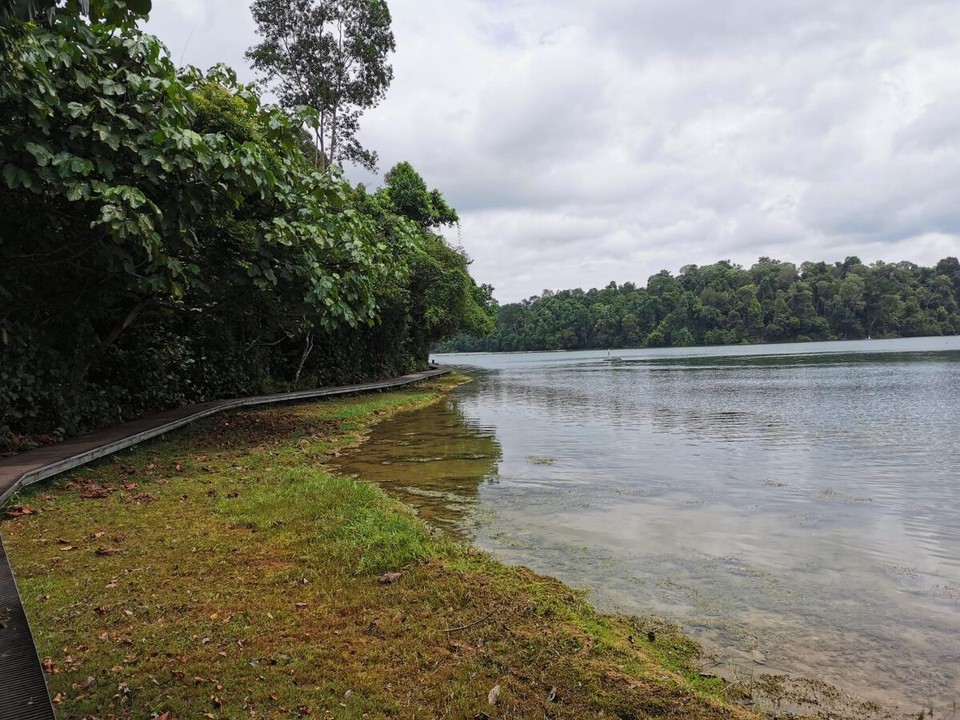 Singapur - Singapur - 