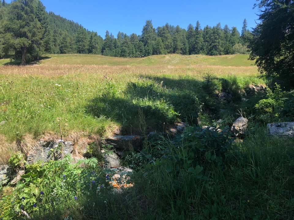 Schweiz - St. Moritz - 