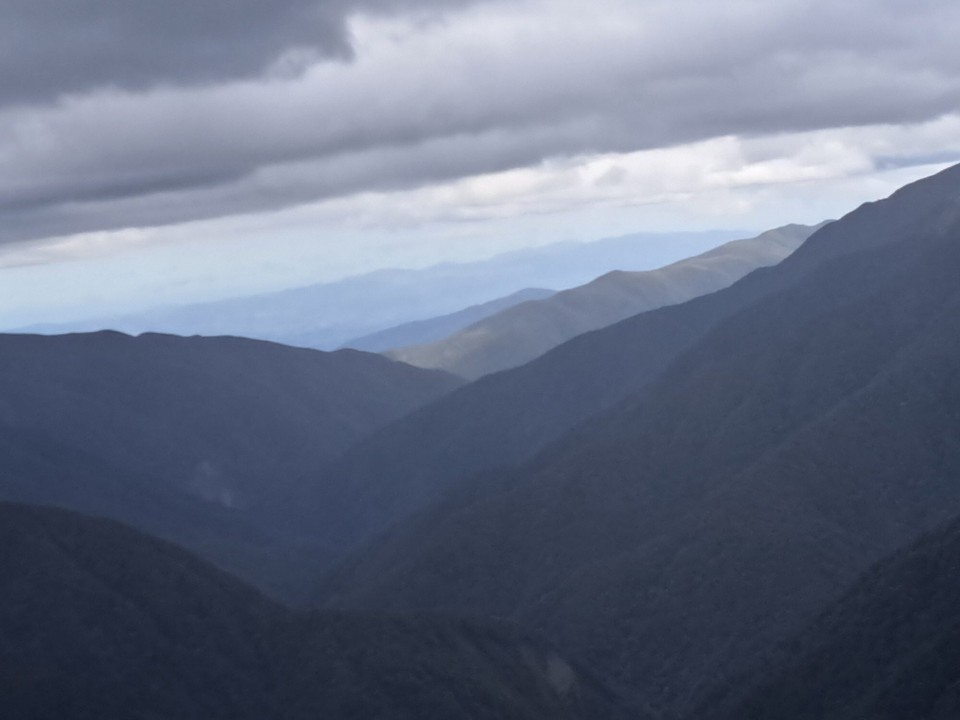 Neuseeland - Te Aroha trail PK - 