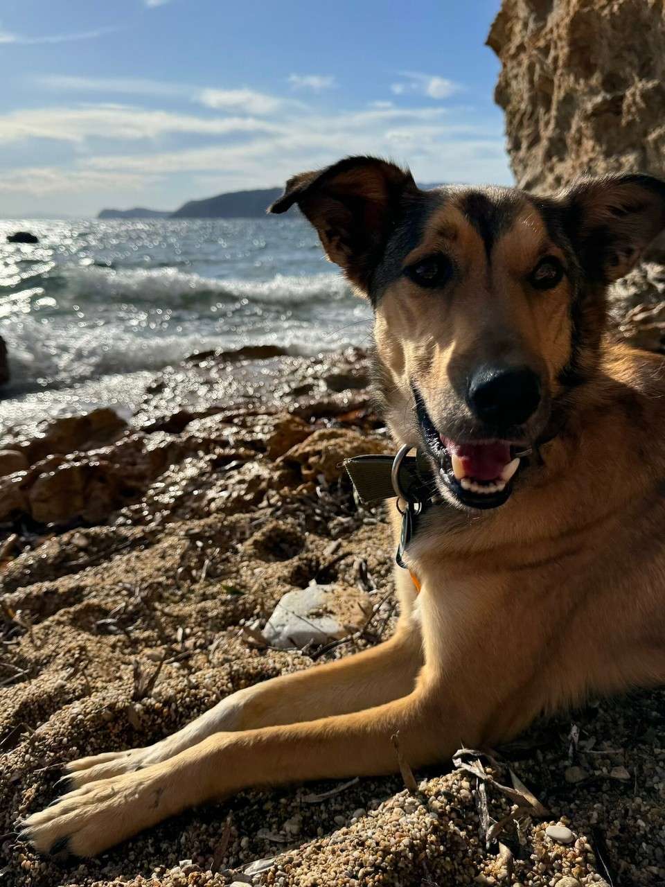 Italien - Porto Azzurro - Was für ein Glück- der Strand nur 2 min von unserem Haus entfernt  und auch mit Hunden kein Problem. Das findet man nicht so leicht in Italien. 