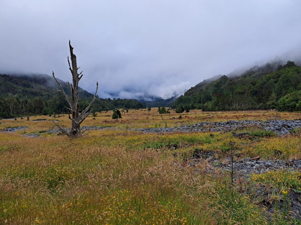 Neuseeland - Arthur’s Pass - 