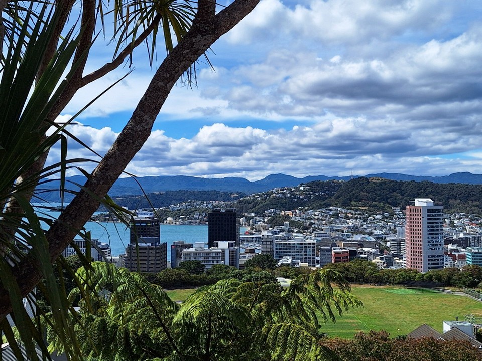 Neuseeland - Wellington - Blick von Botanischen Garten 