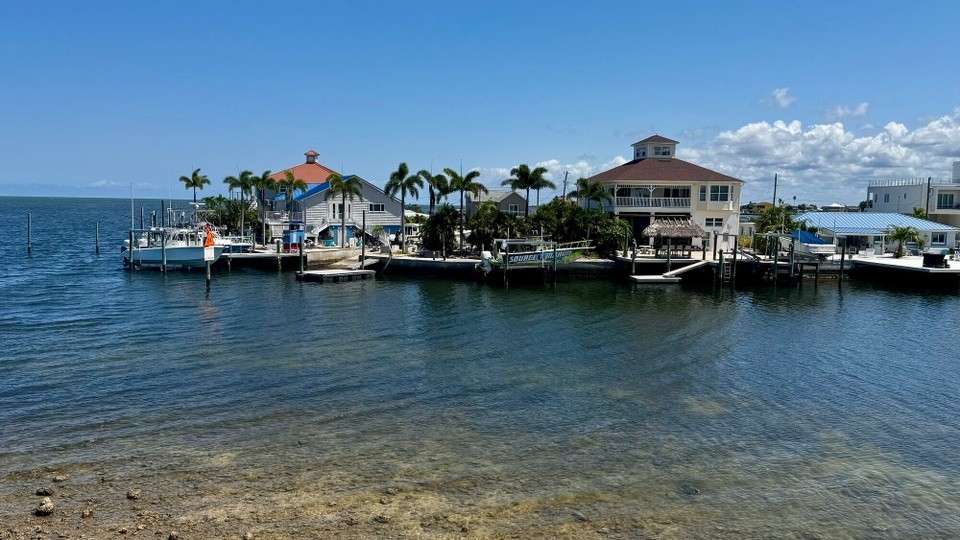 Vereinigte Staaten - Tampa - 