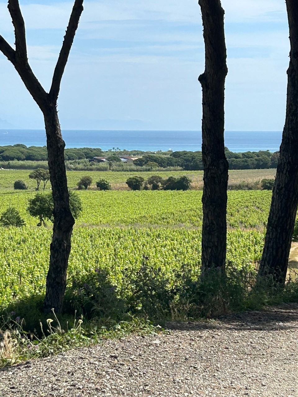 Frankreich - Ramatuelle - 