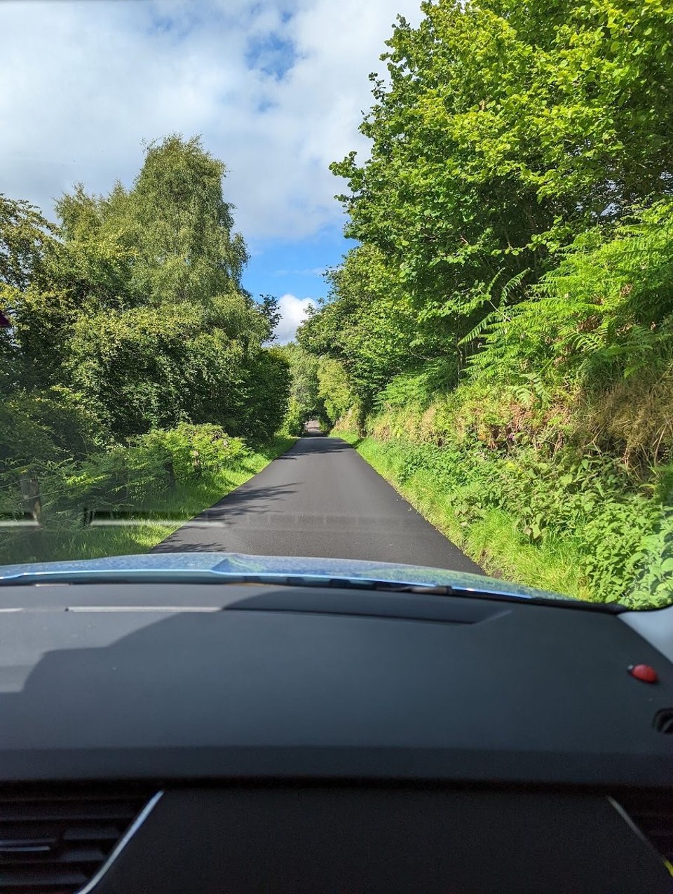 Vereinigtes Königreich - Inverness - Näbe uss si dStrasse ganz schmau - zum Chrüze hets „Passing Places“. Di si zbevorzuge, wöu am Strasserand 
tiefi Schlaglöcher warte!
Hie isch grad ä früsch teerete Biz, was säute isch…