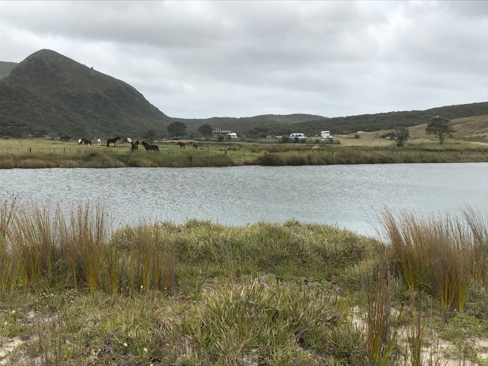 Neuseeland -  - Spirit Bay Campingplatz 