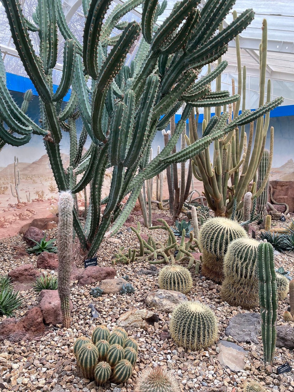 Neuseeland - Christchurch - 