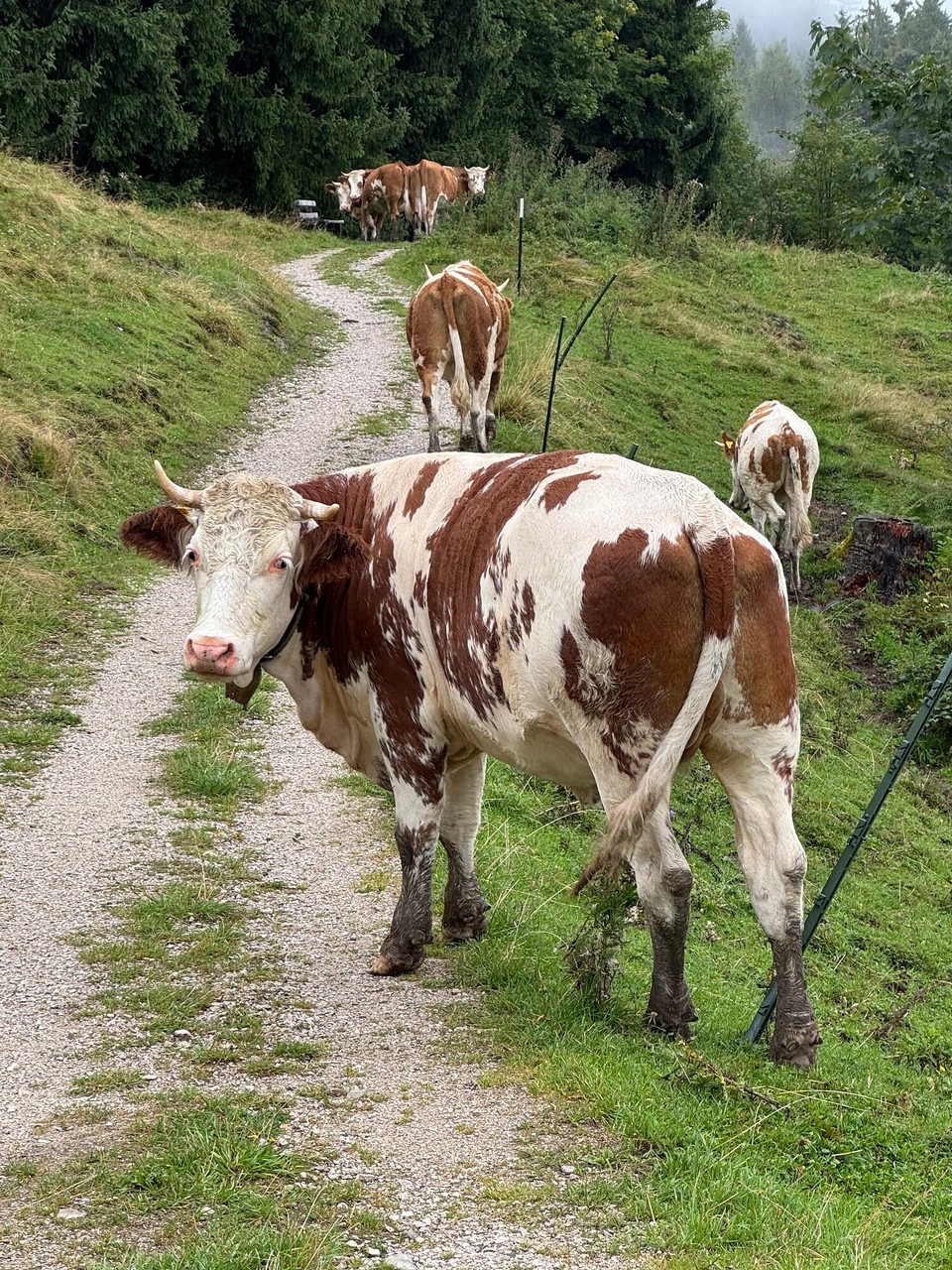 Deutschland - Garmisch-Partenkirchen - 