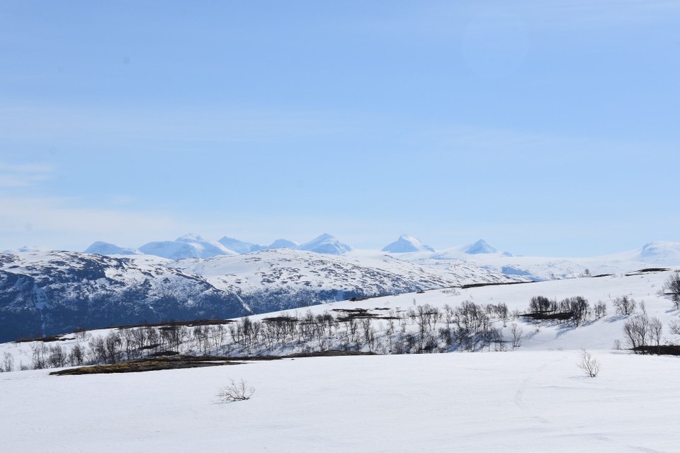 Norwegen - Brønnøysund - 